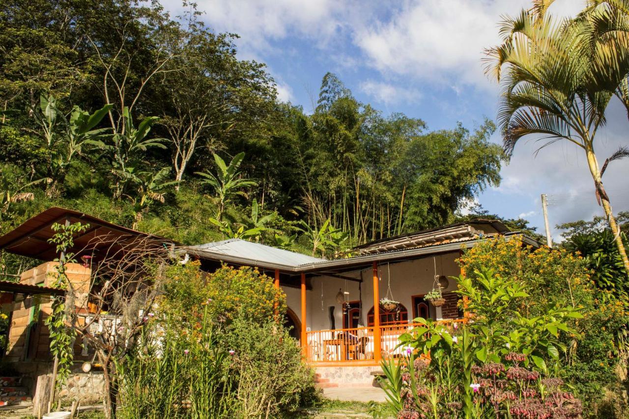Habitacion Las Bromelias, Pijao, Finca Flora Del Rio Exterior photo
